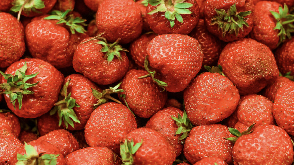 【2025年最新】フルーツサンド・フルーツ大福専門店「一福」がららぽーと門真に新オープン！メニュー・値段・場所まとめ