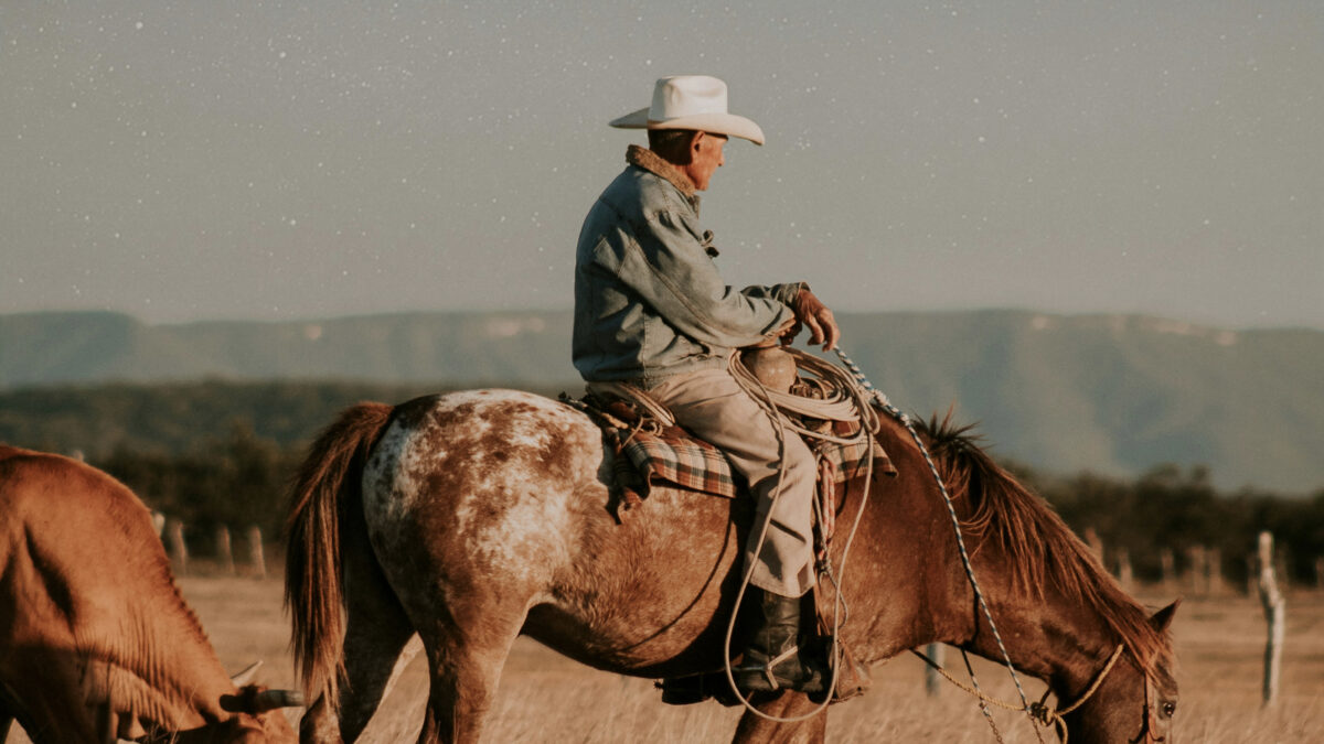 【悲報】ジョニー・デップ東京コミコン遅刻で高額の撮影会中止か？炎上の真相を解説【返金対応は？】