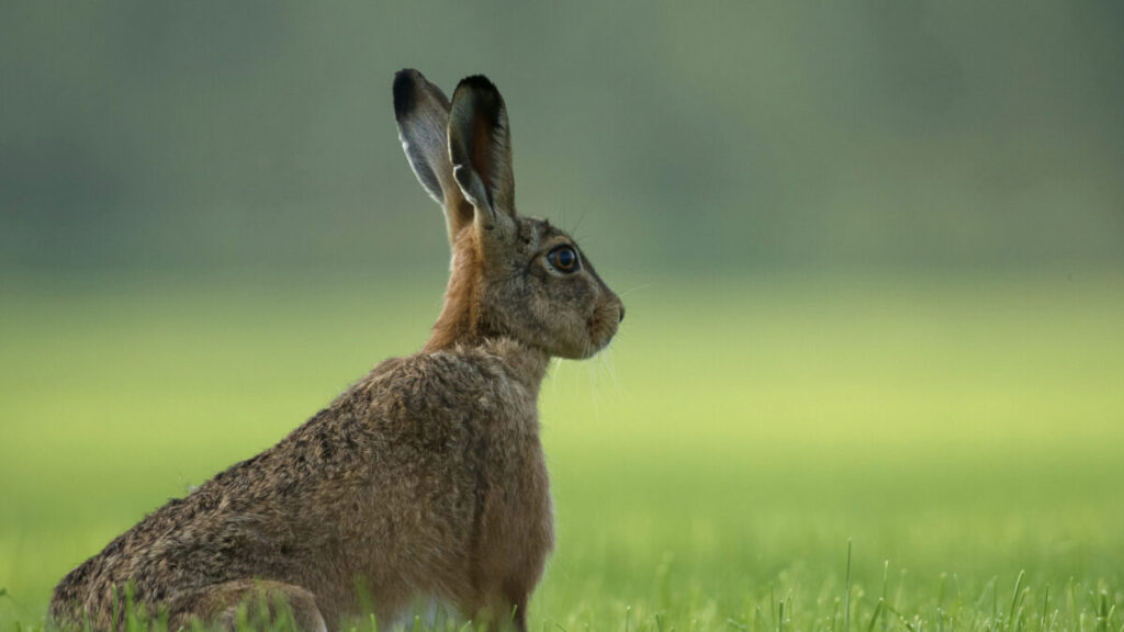 まとめ：SpankBang（スパンクバング）は安全とは言い切れず危険性が高い場面がある